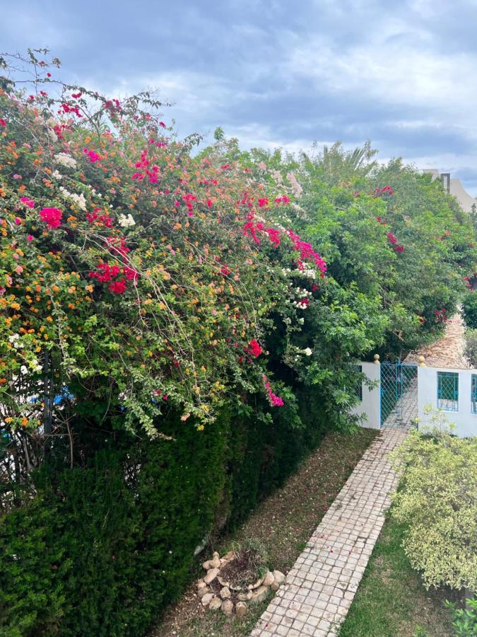 Appartement Rayhan Yasmine Hammamet Extérieur photo